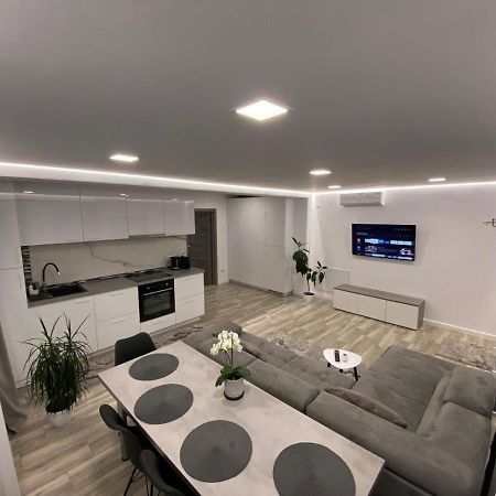 Lora Studio Lägenhet Suceava Exteriör bild