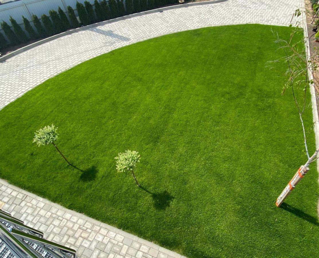 Lora Studio Lägenhet Suceava Exteriör bild