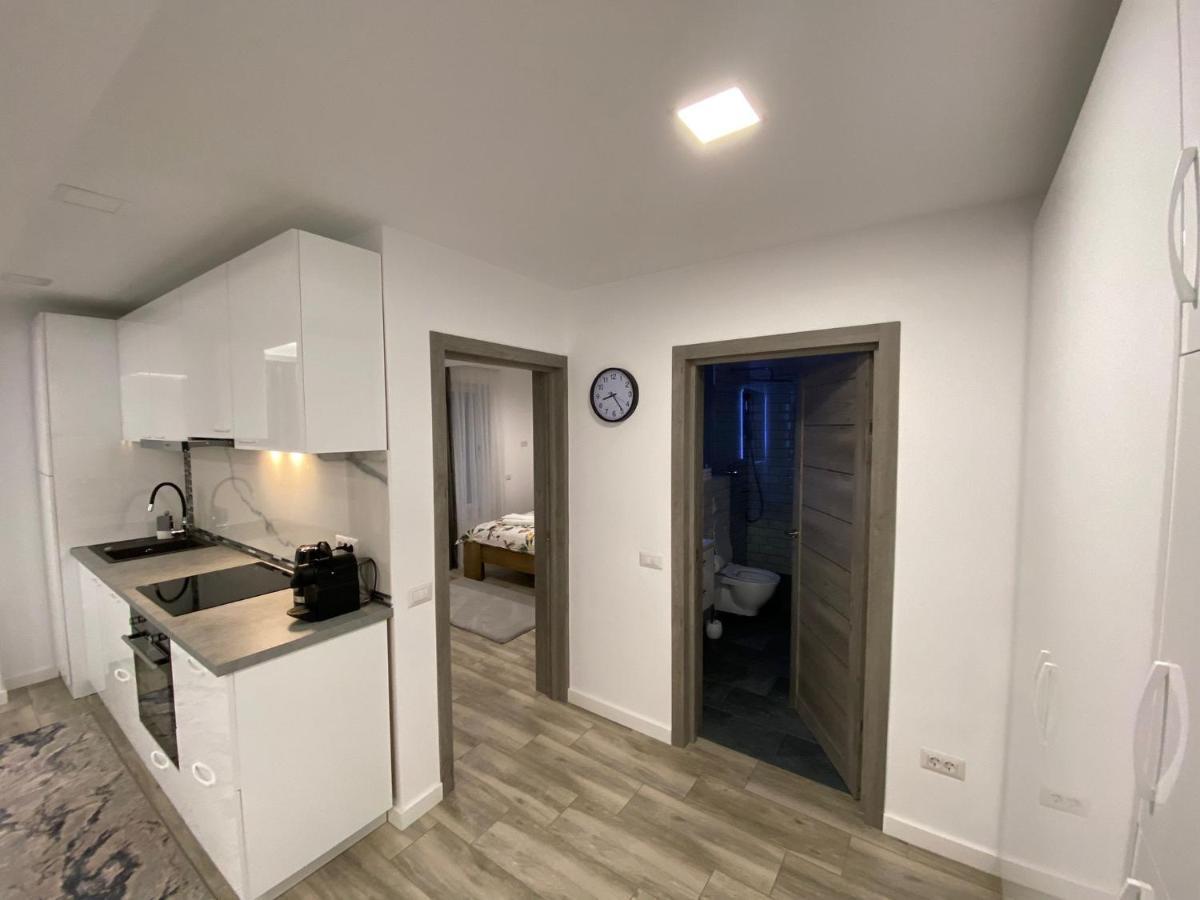 Lora Studio Lägenhet Suceava Exteriör bild