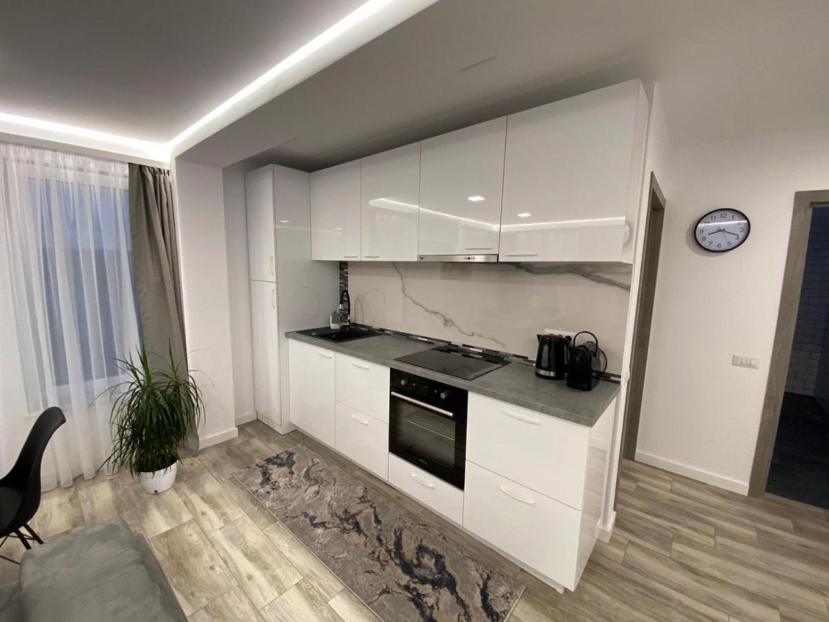 Lora Studio Lägenhet Suceava Exteriör bild